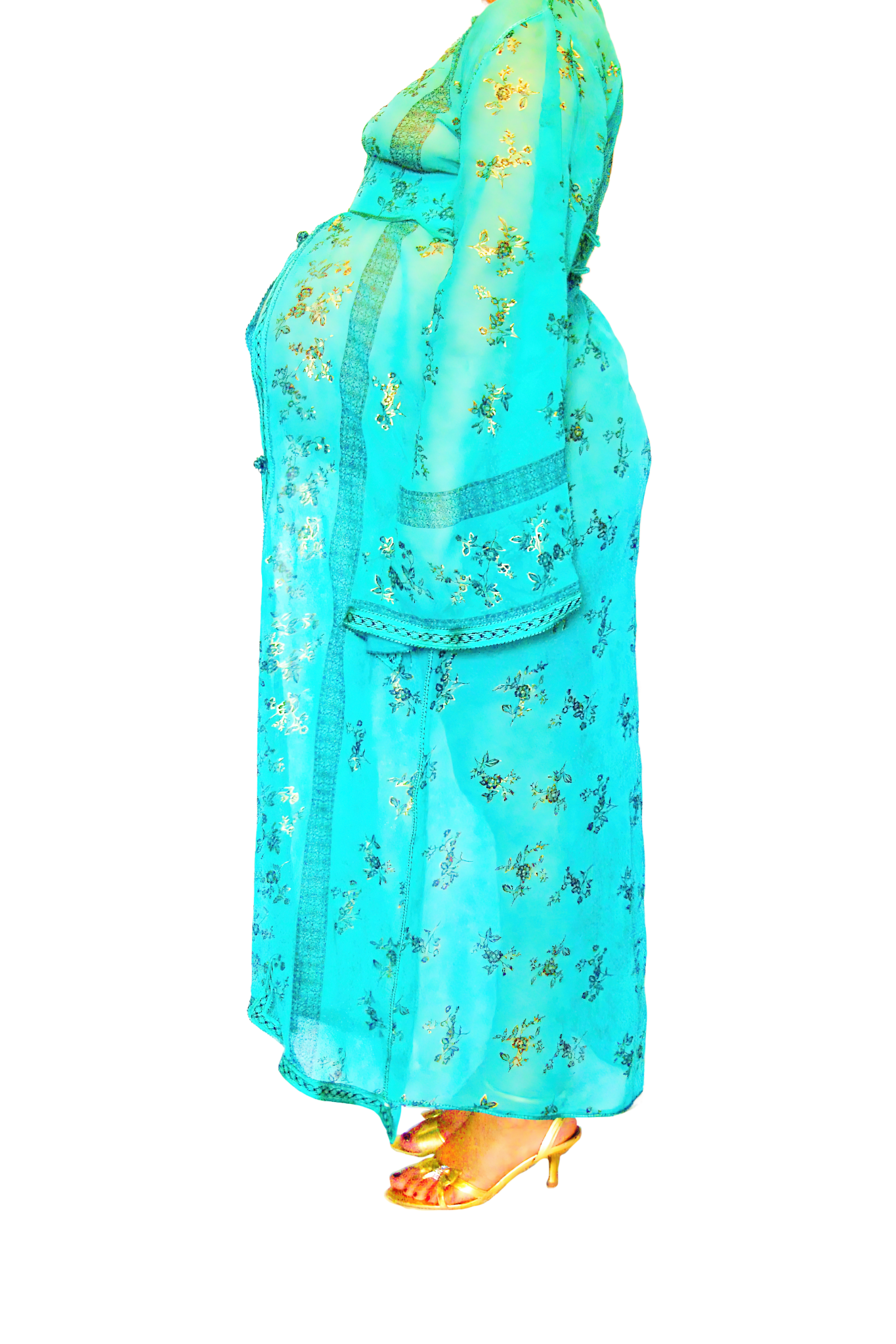 Le Corps Pansant - 2009